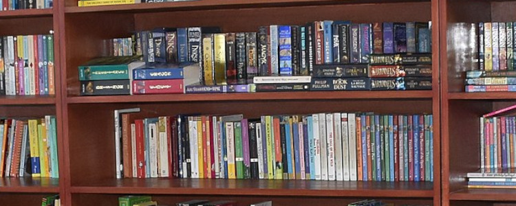 shelf of books