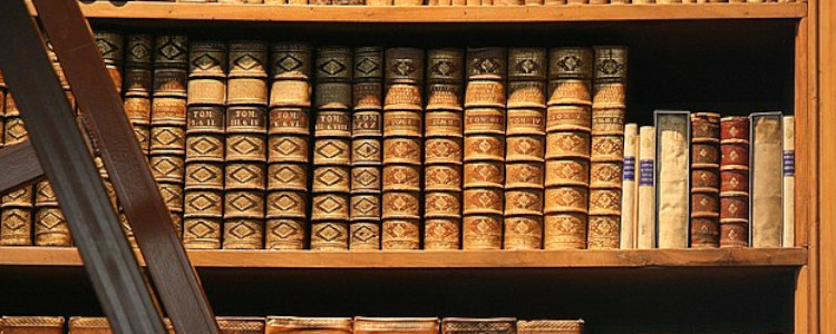 shelf of books